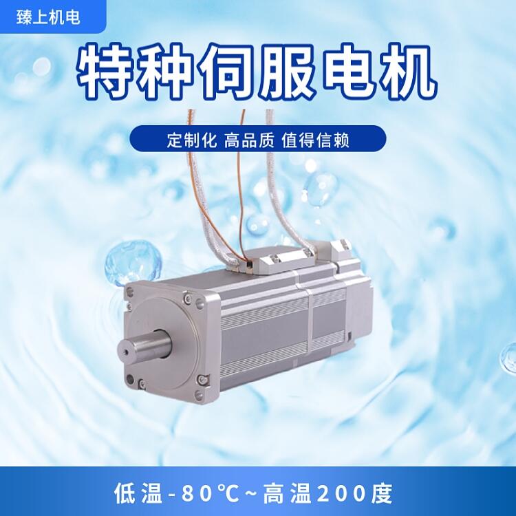 上海臻上機電 真空電機 真空度10-7P啊真空環境下運行